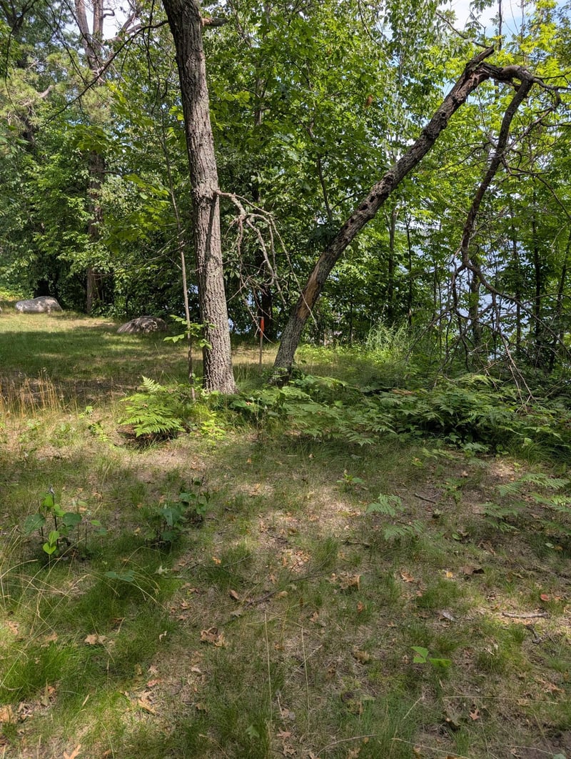 Lot 2 Turtle Bay Trl, Crosby, MN 56441