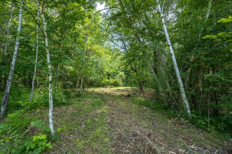 TBD 53rd, Osceola, WI 54020