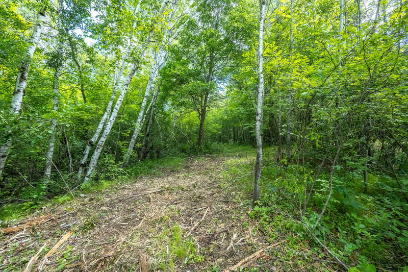 TBD 53rd, Osceola, WI 54020