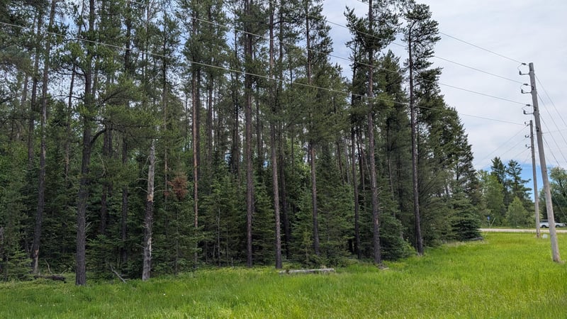 TBD Vermilion Trl, Aurora, MN 55705