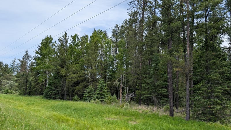 TBD Vermilion Trl, Aurora, MN 55705