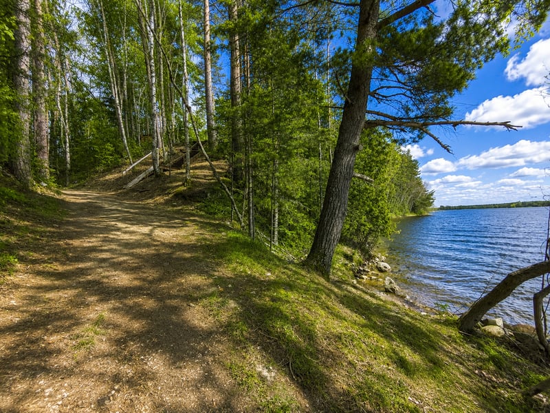4 Windago Hts, Grand Rapids, MN 55744