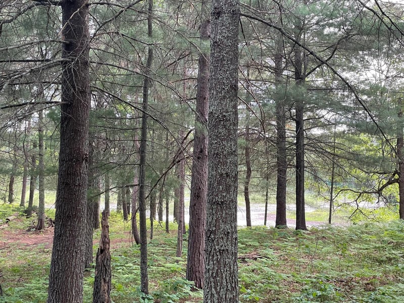 Lot 4 Big Bear Ct, Danbury, WI 54830