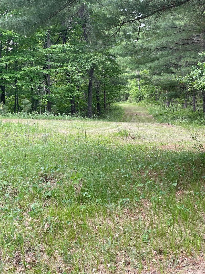 Lot 4 Big Bear Ct, Danbury, WI 54830