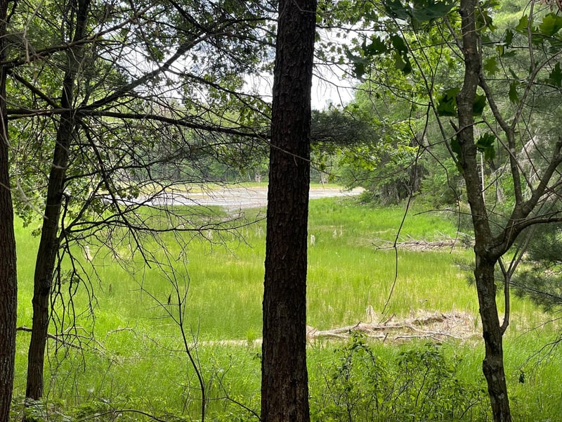 Lot 4 Big Bear Ct, Danbury, WI 54830