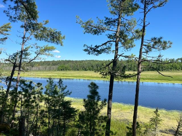 7168 Gold Mine Rd, Orr, MN 55771