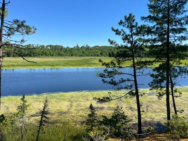 7168 Gold Mine Rd, Orr, MN 55771