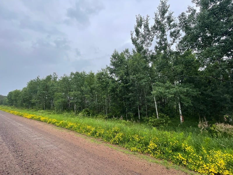 TBD Klejeski Rd, Sandstone, MN 55072