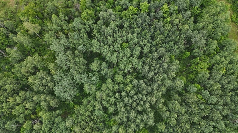 TBD Klejeski Rd, Sandstone, MN 55072