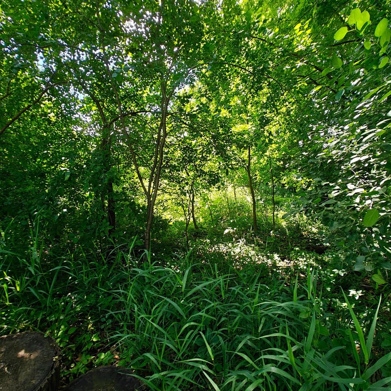 18 Westwood Cir, Hopkins, MN 55305
