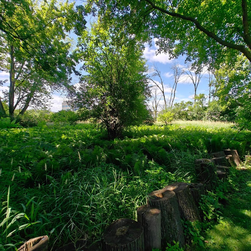 18 Westwood Cir, Hopkins, MN 55305