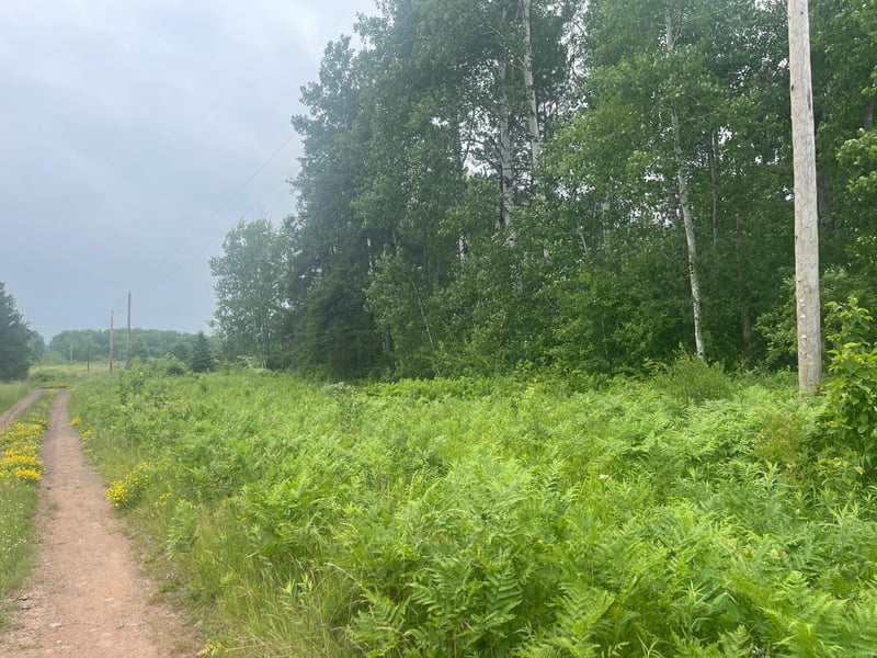 TBD Degerstrom Rd, Askov, MN 55704