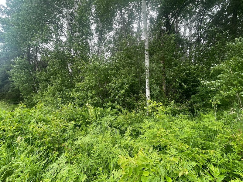 TBD Degerstrom Rd, Askov, MN 55704