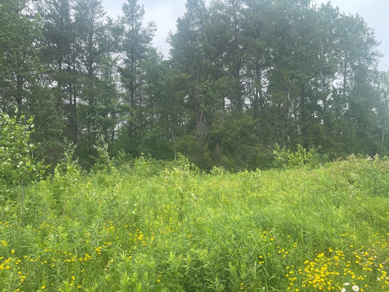 TBD Degerstrom Rd, Askov, MN 55704