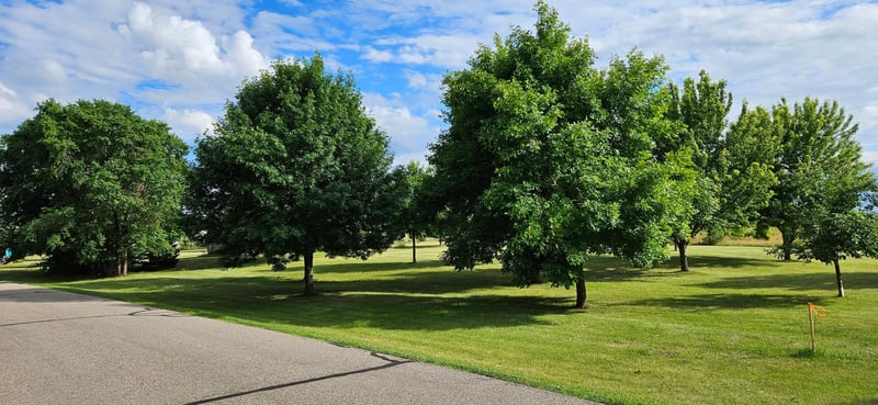 TBD Schuelke Beach Rd NW, Miltona, MN 56354