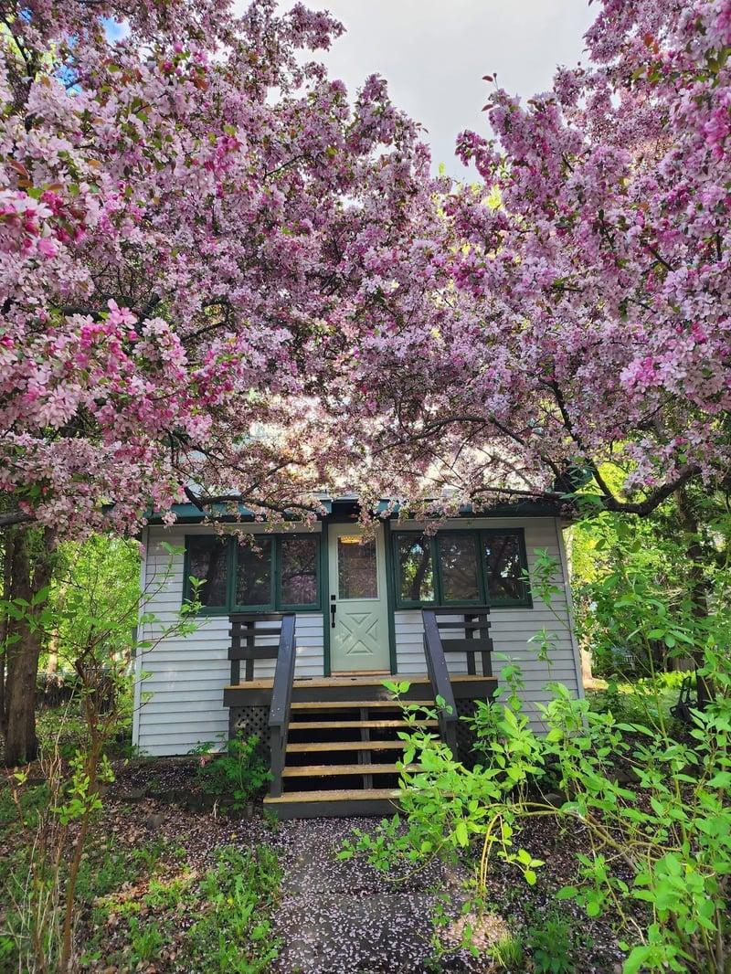 6 4th St NW, Glenwood, MN 56334