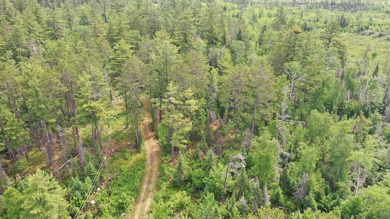 1648 Golden Ridge Trl, Ely, MN 55731