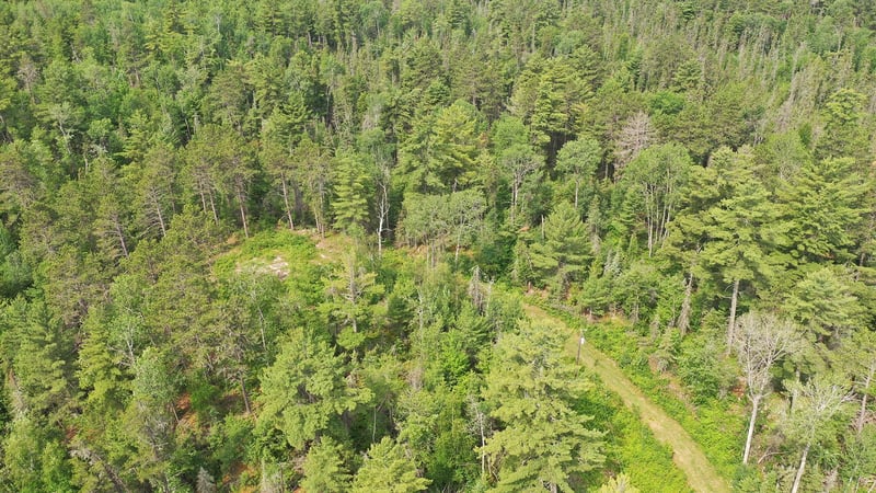 1648 Golden Ridge Trl, Ely, MN 55731