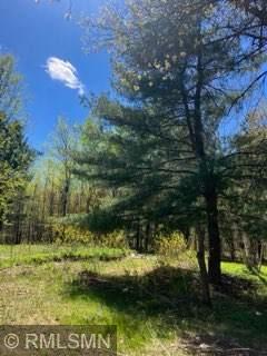 14644 Aspen Cir, Pine City, MN 55063