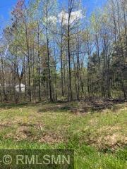 14644 Aspen Cir, Pine City, MN 55063