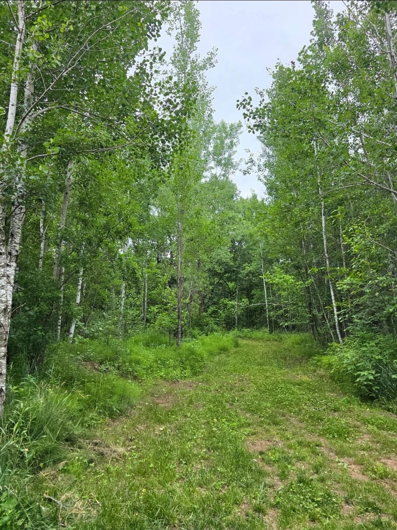 5098 177th St, Ogilvie, MN 56358