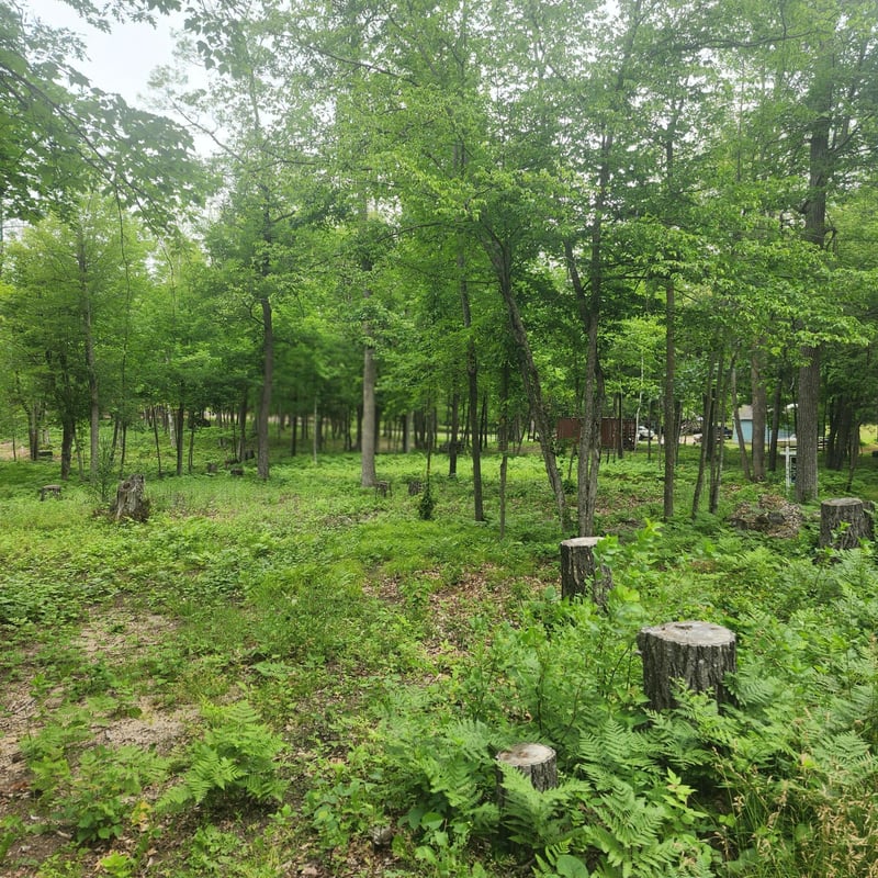 TBD 186th Ave, Mcgregor, MN 55760