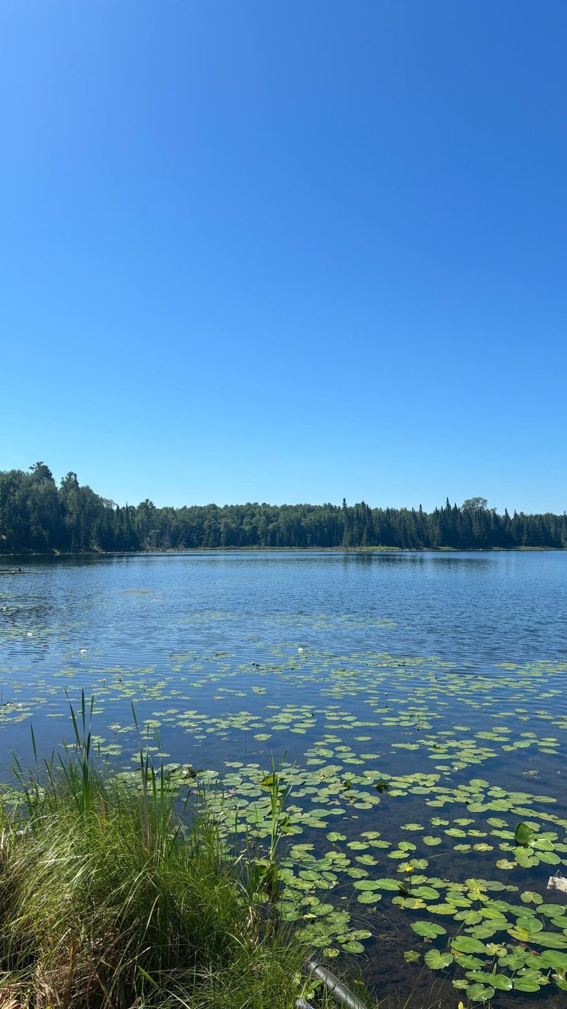 37363 Amen Lake Rd, Deer River, MN 56636