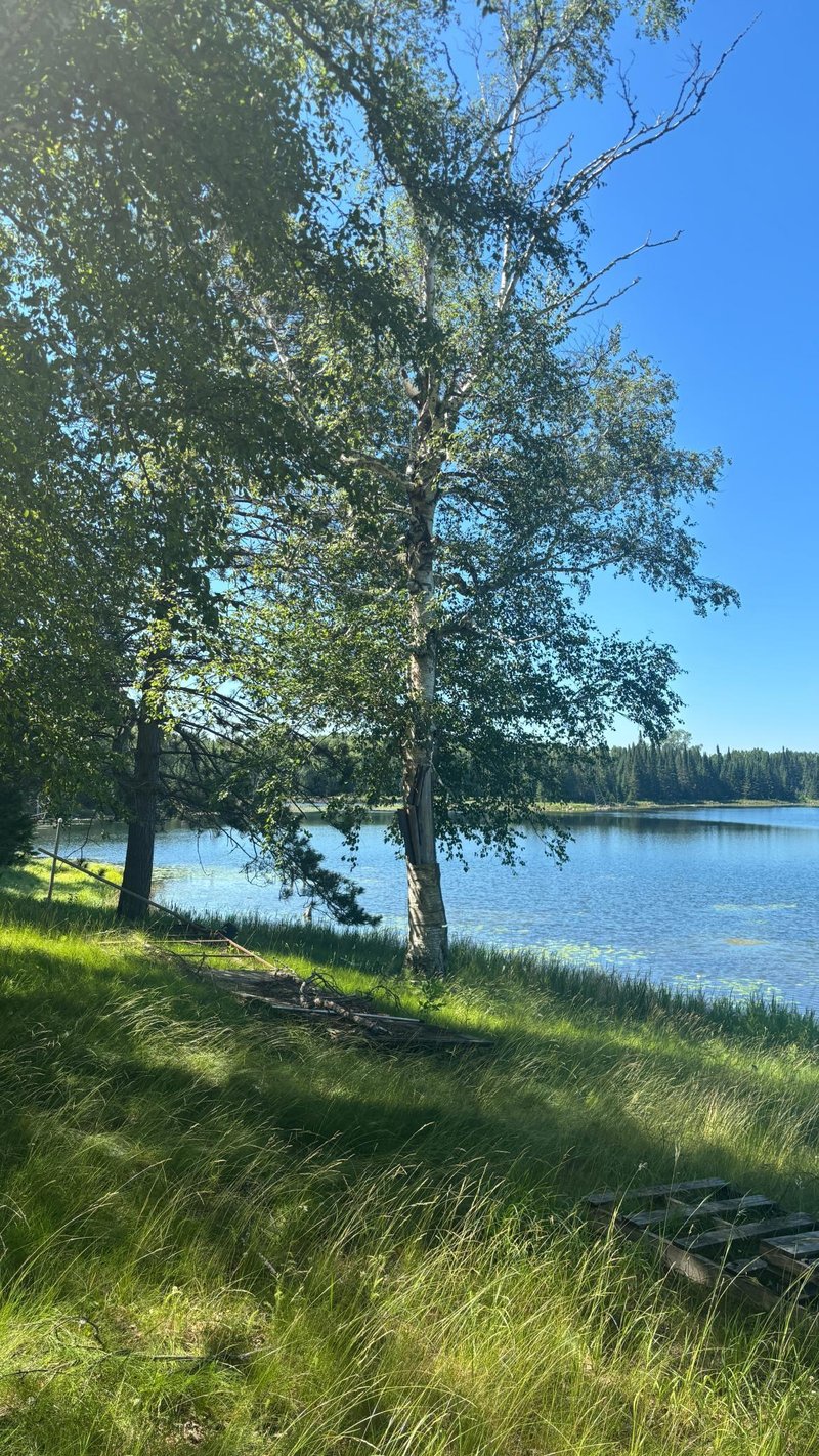 37363 Amen Lake Rd, Deer River, MN 56636