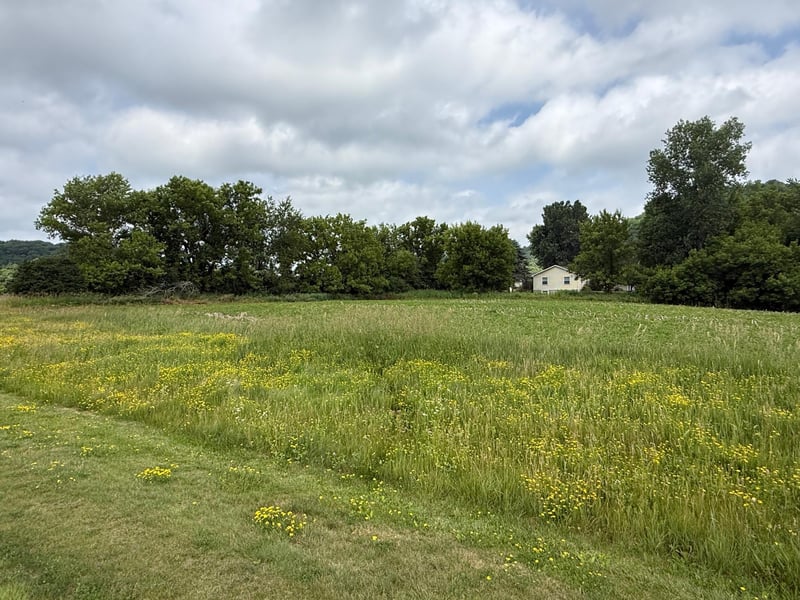 TBD Martin St, Elmwood, WI 54740