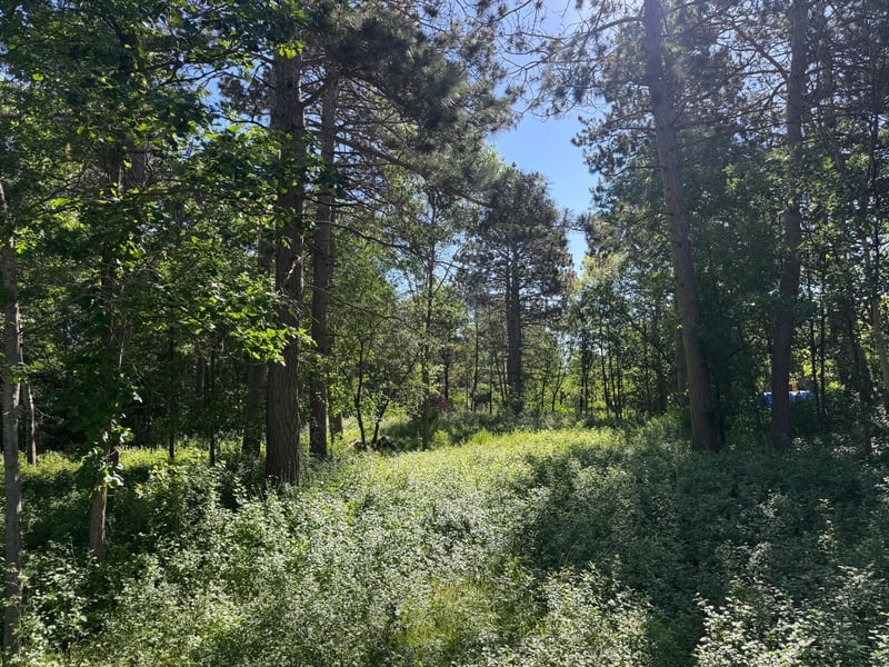 TBD Franklin Ave, Park Rapids, MN 56470