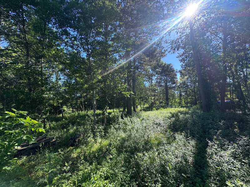 TBD Franklin Ave, Park Rapids, MN 56470