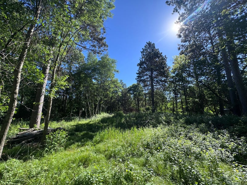 TBD Franklin Ave, Park Rapids, MN 56470