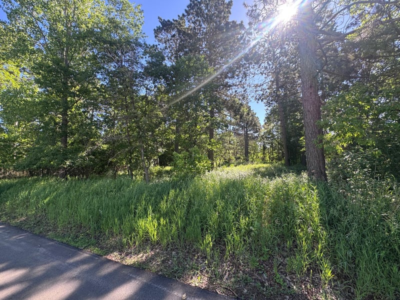 TBD Franklin Ave, Park Rapids, MN 56470