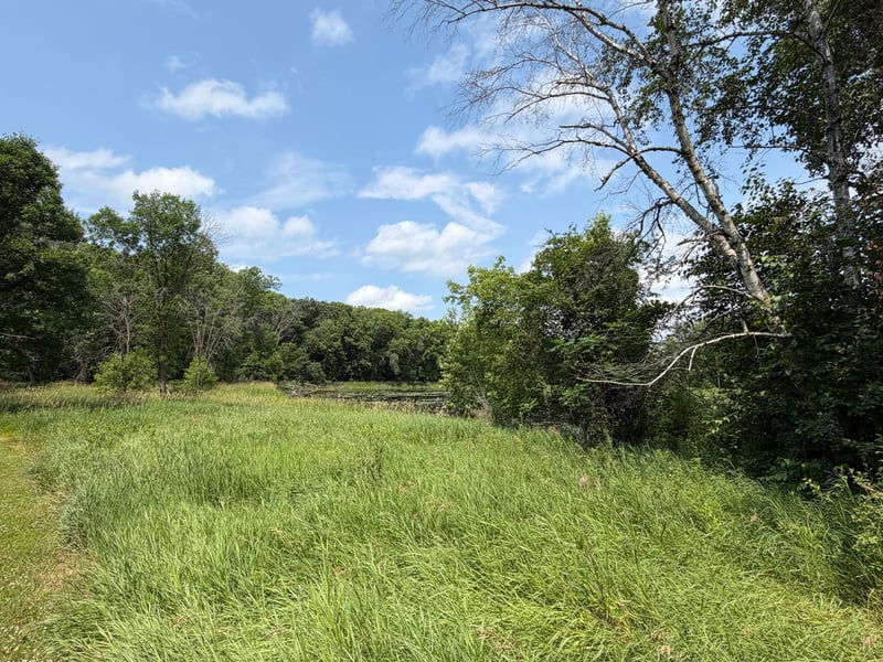tbd Hart Ave NW, Annandale, MN 55302