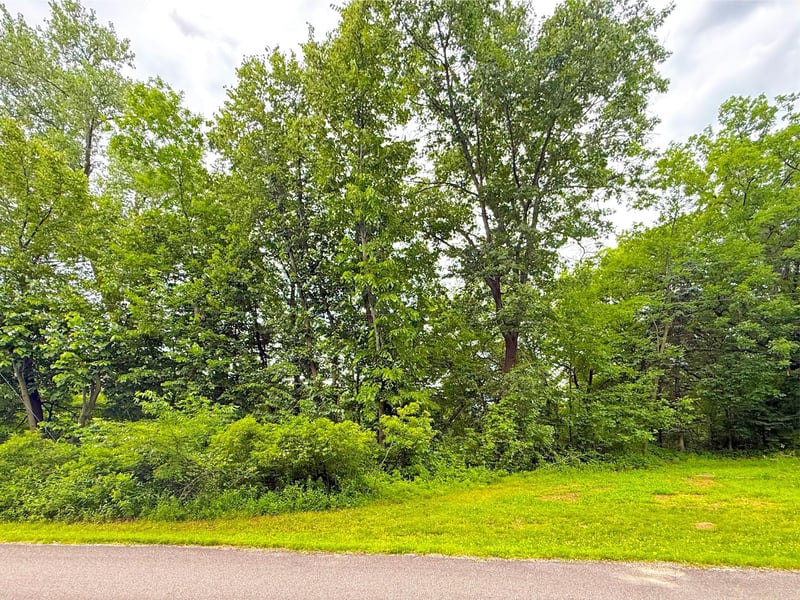 tbd Hart Ave NW, Annandale, MN 55302