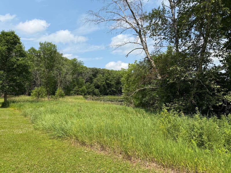 tbd Hart Ave NW, Annandale, MN 55302