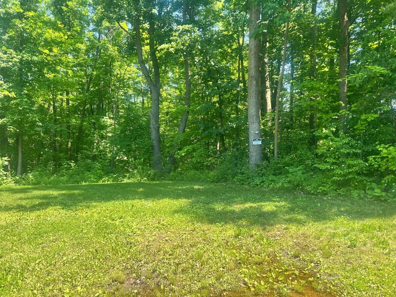 6966 Lake Camile Dr, Randall, MN 56475