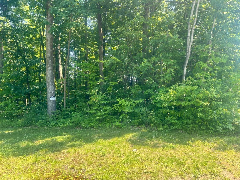 6966 Lake Camile Dr, Randall, MN 56475
