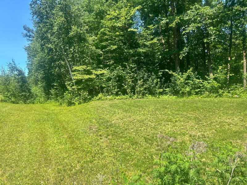 6966 Lake Camile Dr, Randall, MN 56475