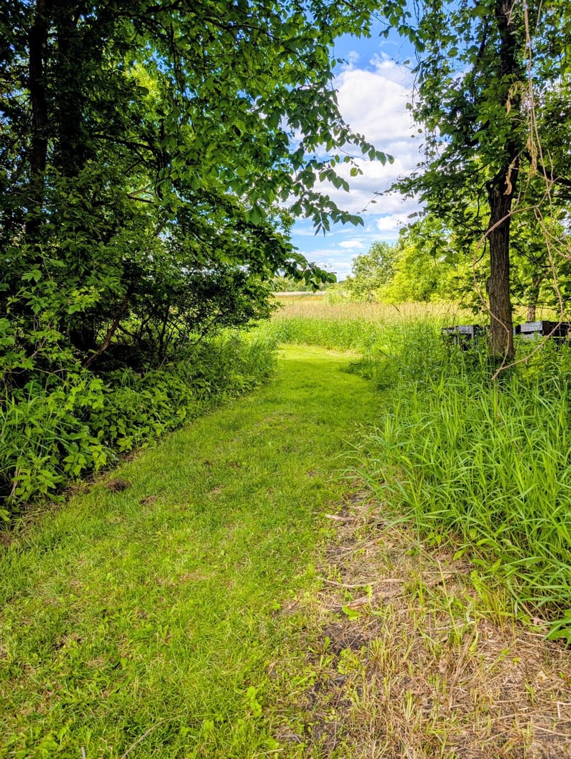 21165 Eagle Dr, Osakis, MN 56360