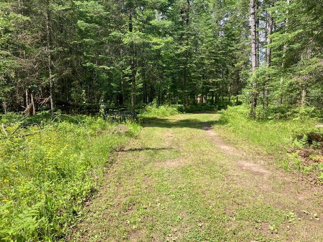 11919 Luna Lake Rd, Side Lake, MN 55781