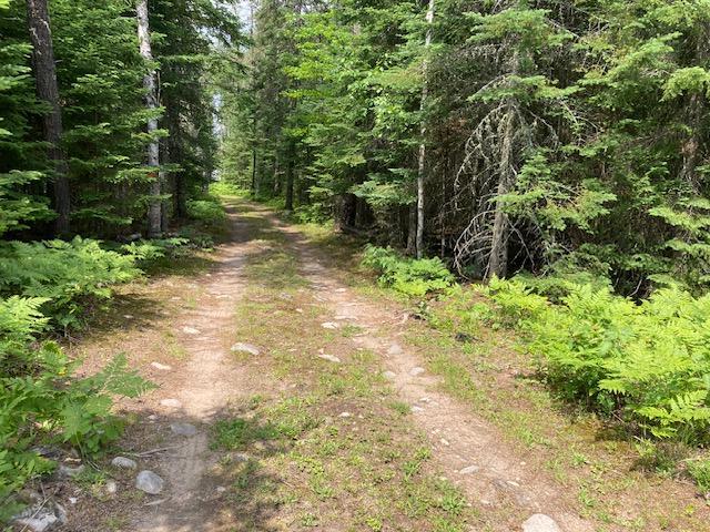 11919 Luna Lake Rd, Side Lake, MN 55781