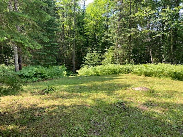 11919 Luna Lake Rd, Side Lake, MN 55781