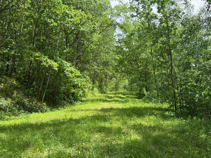 TBD Hickory Ln, Garrison, MN 56450