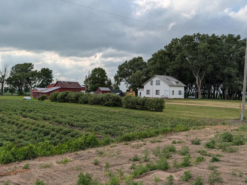 21509 600th Ave, Wells, MN 56097