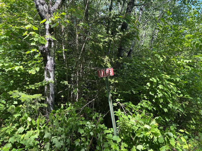 11703 Jacobs Rd, Orr, MN 55771