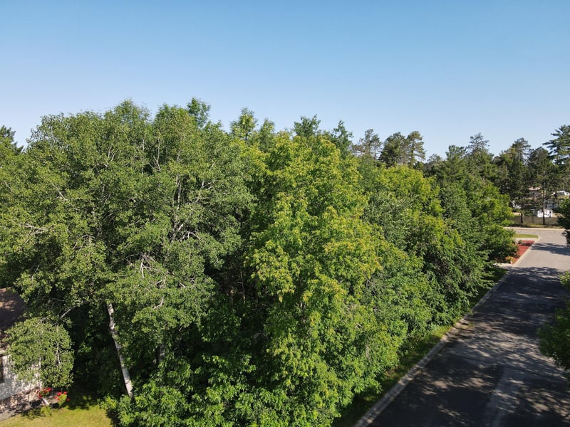 tbd Ne 5th Ave, Grand Rapids, MN 55744