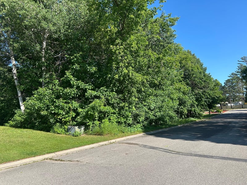 tbd Ne 5th Ave, Grand Rapids, MN 55744