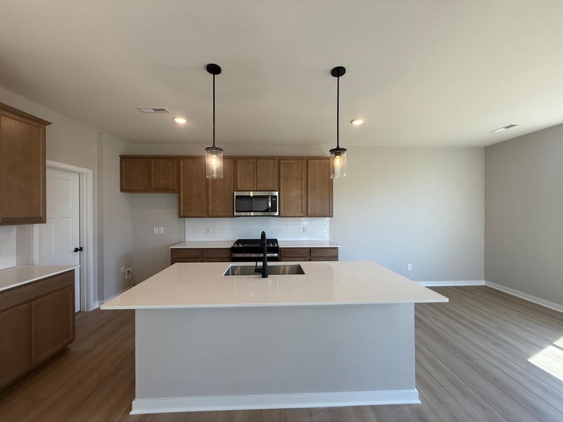 15173 Amber Fields Blvd, Rosemount, MN 55068