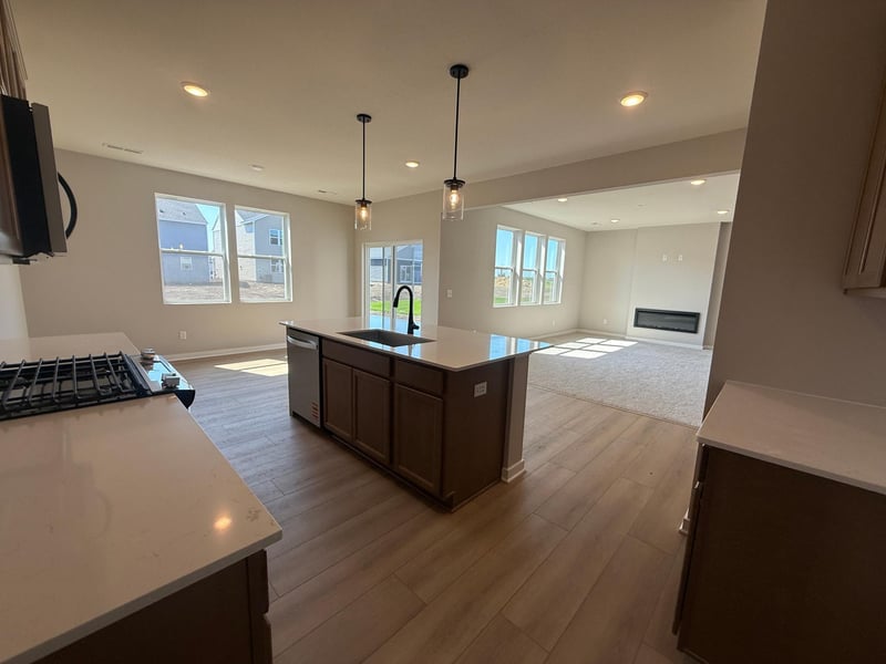 15173 Amber Fields Blvd, Rosemount, MN 55068